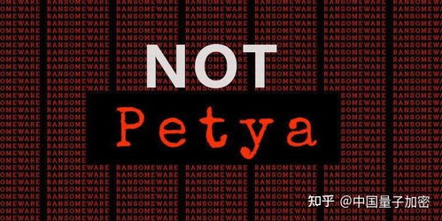 大力發(fā)展信息安全技術(shù)，積極應(yīng)對(duì)網(wǎng)絡(luò)攻擊